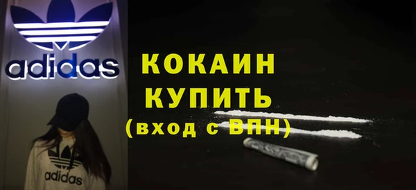 шишки Армянск