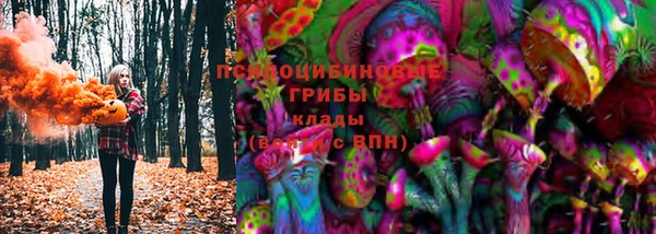 шишки Армянск