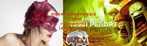 шишки Армянск